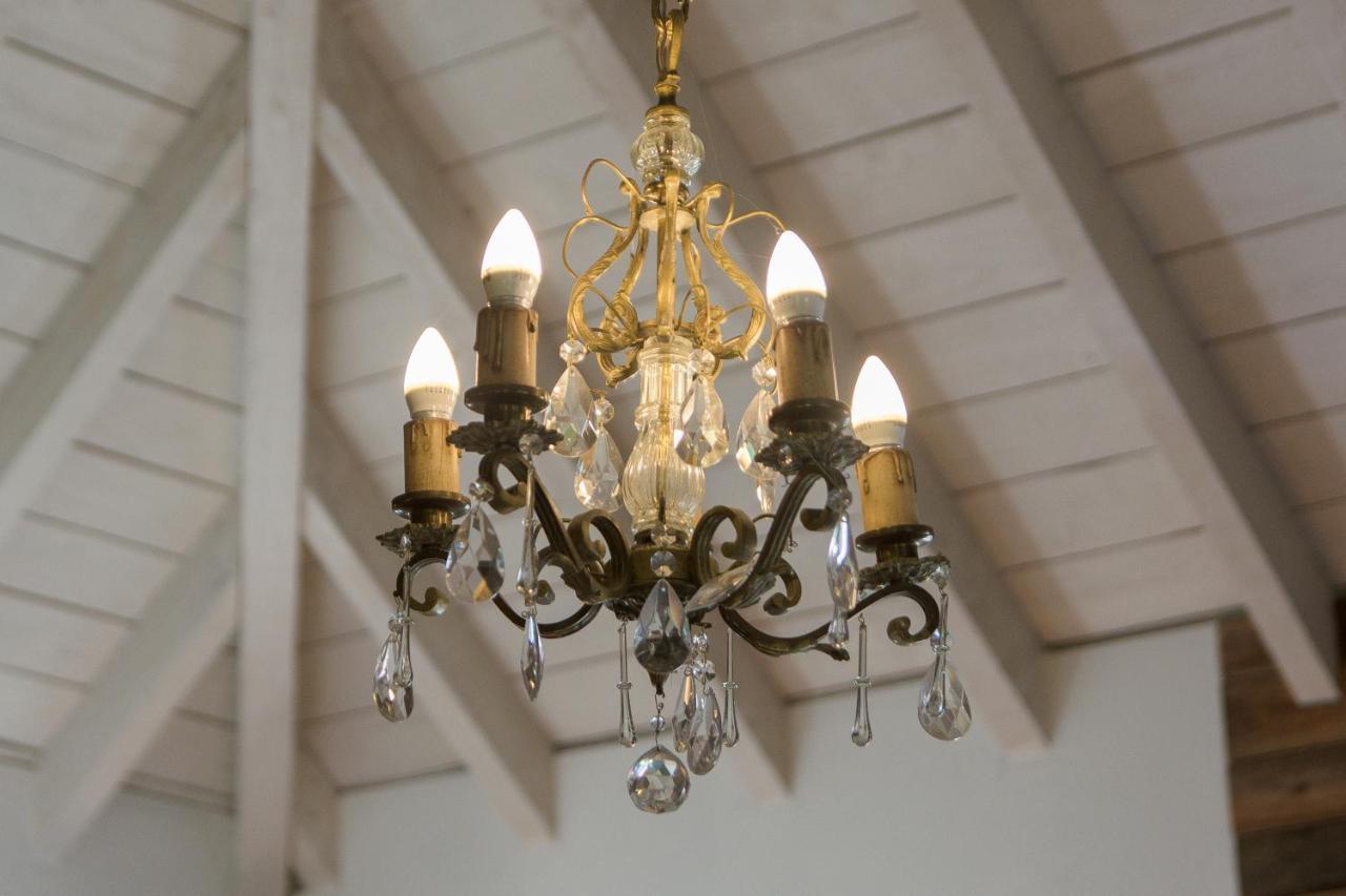 Lofts Del Mercado Villa La Angostura Eksteriør billede